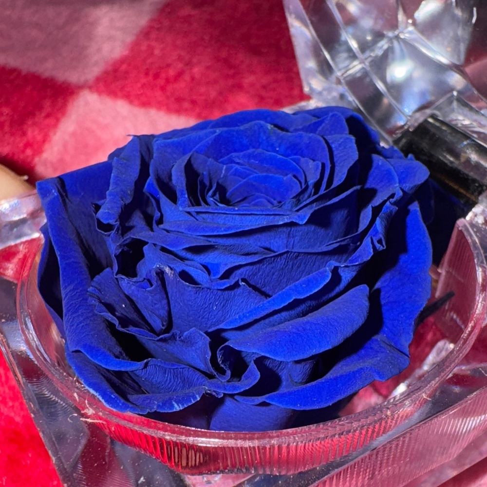 Scented Blue Rose in Crystal Display Box - Picture 3 of 3